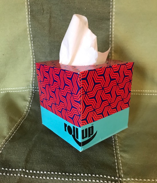 a small pink & blue tissue box